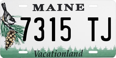 ME license plate 7315TJ