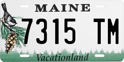 ME license plate 7315TM