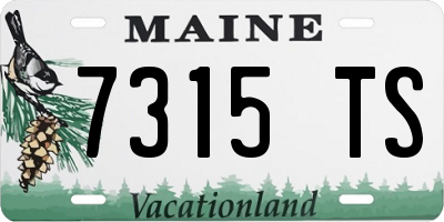 ME license plate 7315TS
