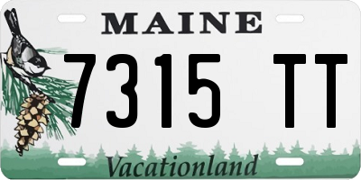 ME license plate 7315TT