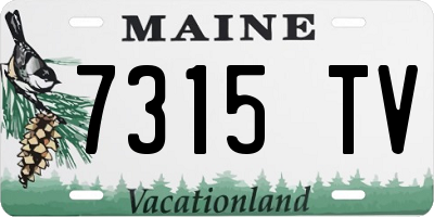 ME license plate 7315TV