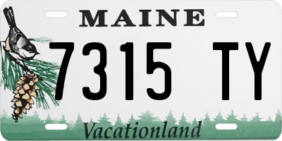ME license plate 7315TY
