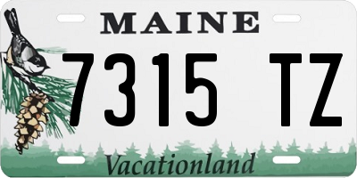 ME license plate 7315TZ