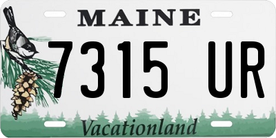 ME license plate 7315UR