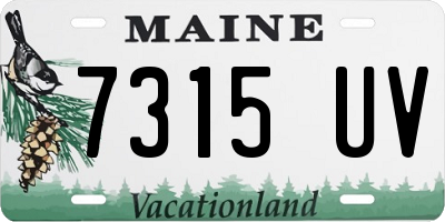 ME license plate 7315UV