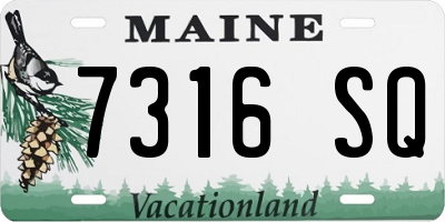 ME license plate 7316SQ