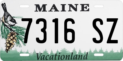 ME license plate 7316SZ
