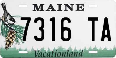 ME license plate 7316TA