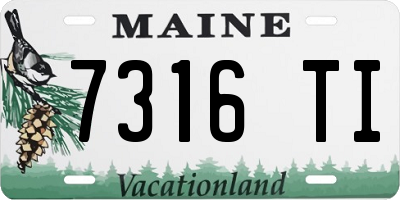 ME license plate 7316TI