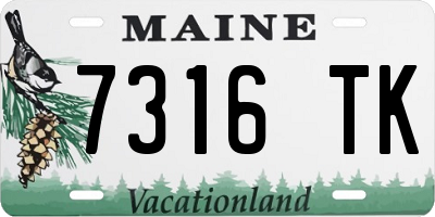 ME license plate 7316TK