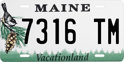 ME license plate 7316TM