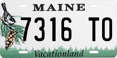ME license plate 7316TO