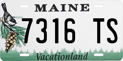 ME license plate 7316TS