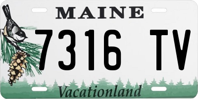 ME license plate 7316TV