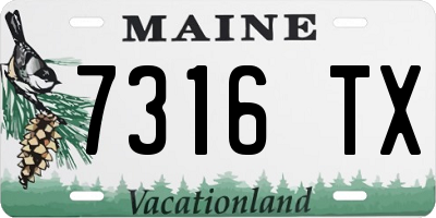 ME license plate 7316TX