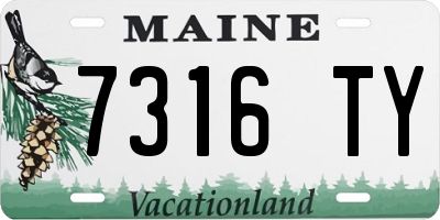 ME license plate 7316TY
