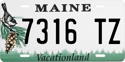 ME license plate 7316TZ