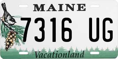 ME license plate 7316UG