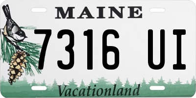 ME license plate 7316UI