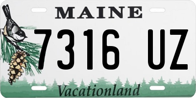 ME license plate 7316UZ