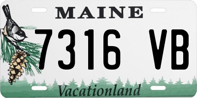 ME license plate 7316VB