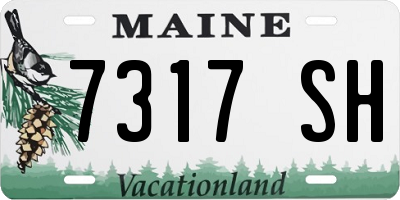 ME license plate 7317SH