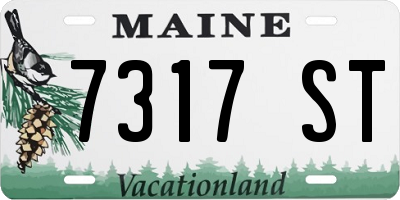 ME license plate 7317ST