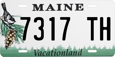 ME license plate 7317TH