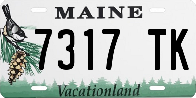 ME license plate 7317TK