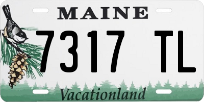 ME license plate 7317TL