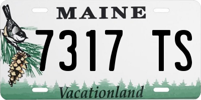 ME license plate 7317TS