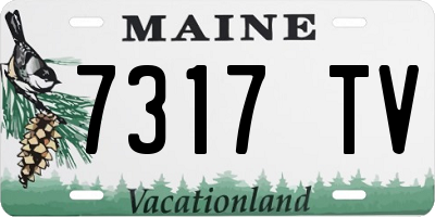 ME license plate 7317TV