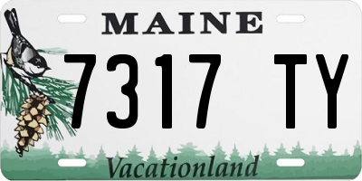 ME license plate 7317TY