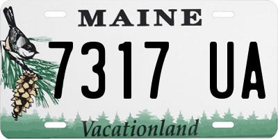 ME license plate 7317UA