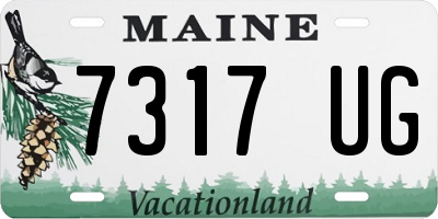 ME license plate 7317UG