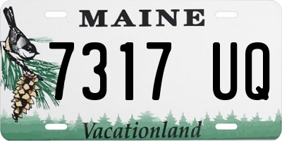 ME license plate 7317UQ