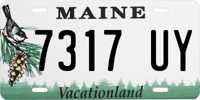 ME license plate 7317UY