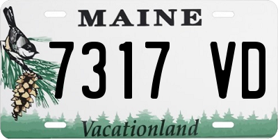 ME license plate 7317VD