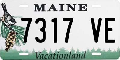 ME license plate 7317VE