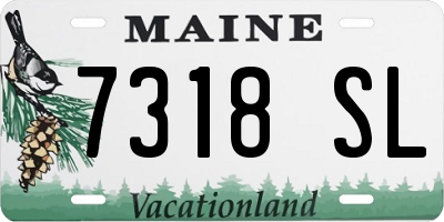 ME license plate 7318SL