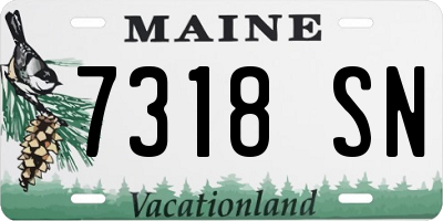 ME license plate 7318SN