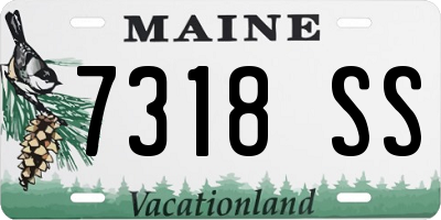 ME license plate 7318SS