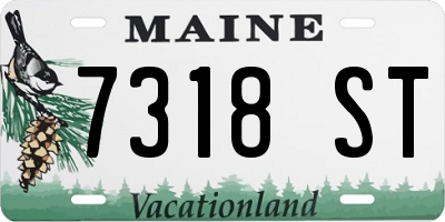 ME license plate 7318ST