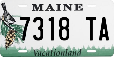 ME license plate 7318TA