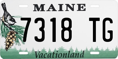 ME license plate 7318TG