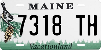 ME license plate 7318TH