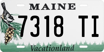 ME license plate 7318TI