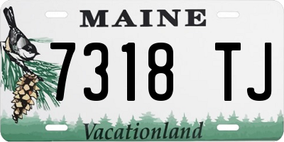ME license plate 7318TJ