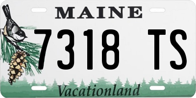 ME license plate 7318TS