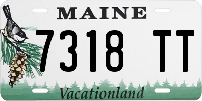ME license plate 7318TT